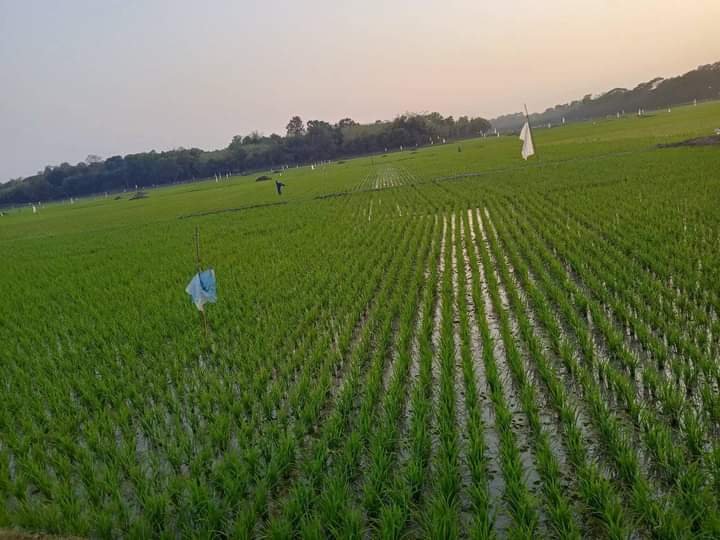 received_420444337134426